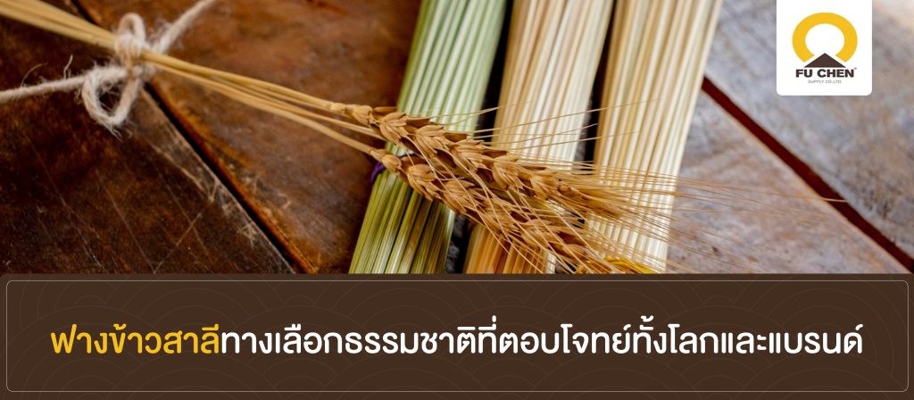 ฟางข้าวสาลีทางเลือกธรรมชาติที่ตอบโจทย์ทั้งโลกและแบรนด์